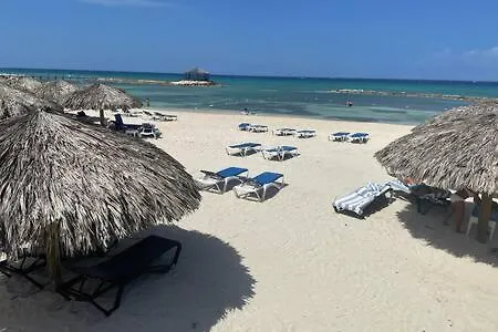 Hospitality Expert Jagger - Tour Pool Bar Beach Montego Bay Jamaica