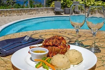 Hospitality Expert Jagger - Tour Pool Bar Beach Montego Bay