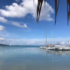 https://contemporary-ocean-view-2bed-carib-ocho-rios-condo.hotelsochorios.net